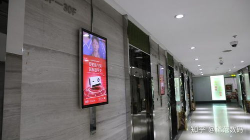 看中公寓电梯广告上的一个广告,我决定买它