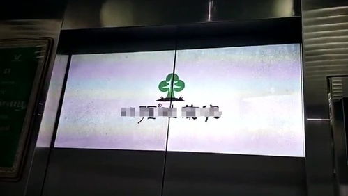 电梯投影广告往事