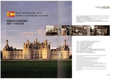 华中最大冻品交易平台在武汉落户 美迪斯电梯实力“助跑”|电梯|武汉|技术_新浪新闻