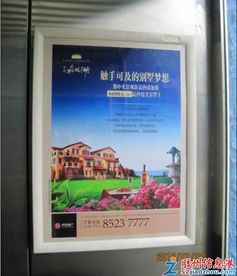 新城区电梯广告与小区主入口灯箱广告招商公告