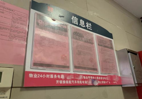 郑州小区电梯广告收益调查 一部电梯年均1500元，业主权益知多少？